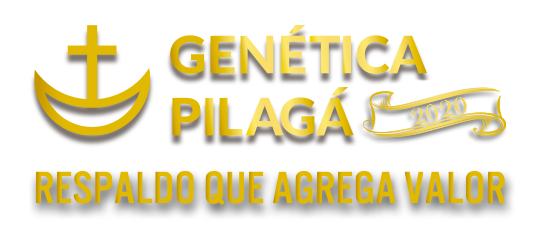 Genética Pilagá